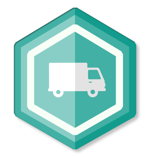 Versand Icon